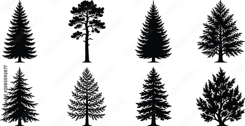 Fototapeta premium Coniferous pine and fir trees black silhouettes vector collection isolated on a white background