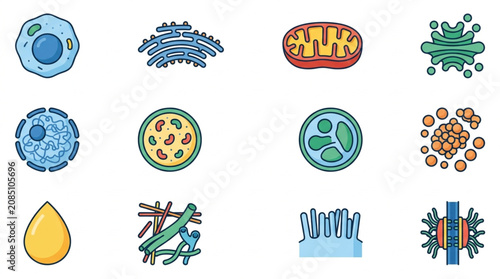 Photography Collection of biological cell organelles and structures illustrated as icons