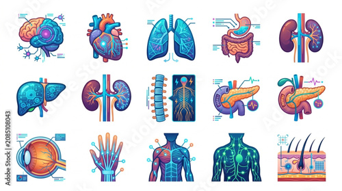 Bild auf Leinwand Collection of Human Organs and Body Systems Illustrated.