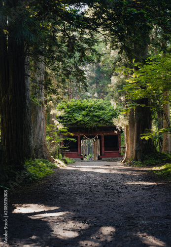 戸隠神社