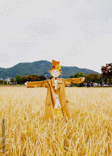 Foto scarecrow