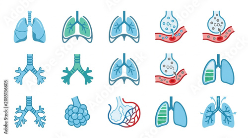 Fotografie Human Respiratory System Anatomy and Physiology Icons Set.