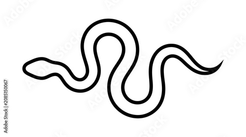 Minimalist Snake Outline Illustration