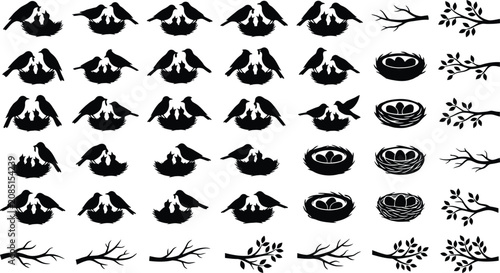 Valokuva Silhouette collection of birds feeding chicks in nests and branches with leaves