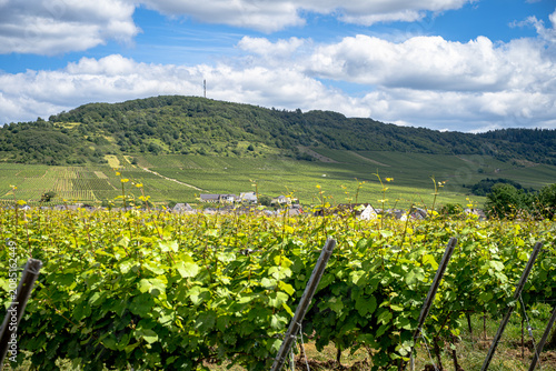 Nur einen stillen Moment zwischen sattgrünen Bäumen, das sanfte Glitzern der Mosel und den Kirchturm in der Ferne, der über die Landschaft wacht.