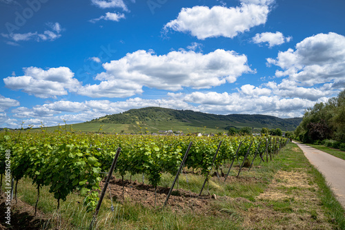 Nur einen stillen Moment zwischen sattgrünen Bäumen, das sanfte Glitzern der Mosel und den Kirchturm in der Ferne, der über die Landschaft wacht.