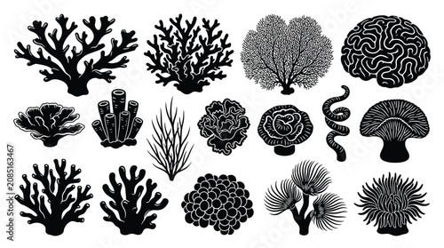 Foto Black silhouette collection of diverse marine corals and sea creatures on white