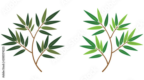 Cuadro en lienzo Two separate green bamboo branches with lush leaves isolated on background