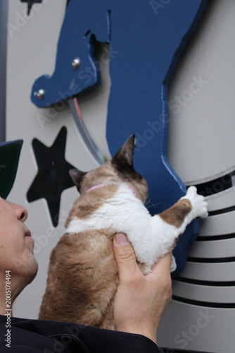 Cuadro en lienzo Owner Holding Devon Rex Cat During Outdoor Activity
