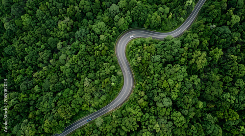 Winding Road Through Lush Forest: An aerial view captures a serpentine asphalt road carving its way through a dense, vibrant green forest canopy, inviting exploration and adventure.