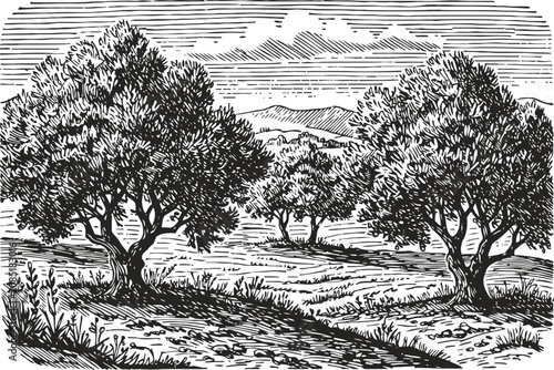vintage engraving of rural landscape with trees and mountains in the background