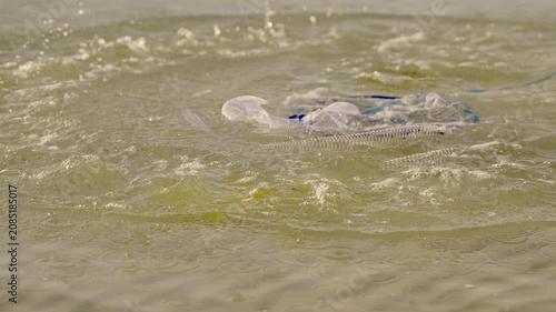A fishing or cast net falling in ocean water in slow motion, thrown by a fisherman, indonesia, southeast asia