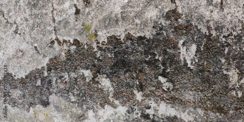 Bild auf Leinwand Abstract texture of a concrete wall with dark patches of organic growth and gray