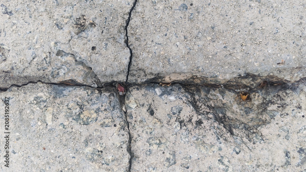 Fototapeta premium Network of Cracks on Textured Grey Concrete