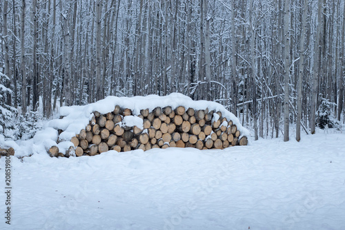 Snow on a woodpile in Alaska
