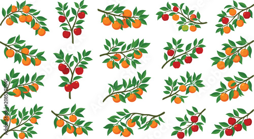 Fruit tree branches collection set with orange mandarin and red apple hanging on green leaf twig vector illustration for agriculture banner