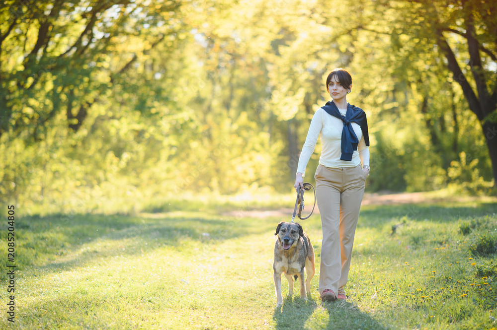 Fototapeta premium Woman walking dog in sunny green park