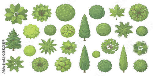 Photos Set of green trees and bushes top view for landscape design plans and architectu