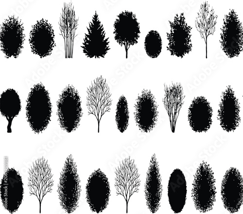 Fotografía Black silhouettes of various trees and plants against