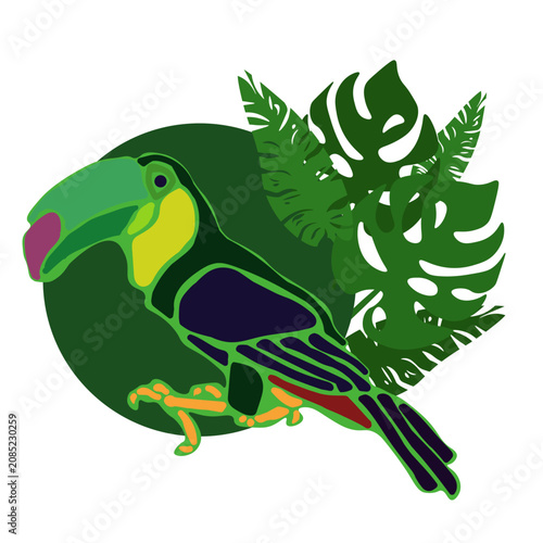 vector flat illustration of a colorful toucan bird sitting among tropical monstera and palm leaves