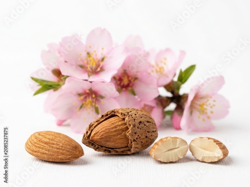 Fresh brown almonds with delicate pink almond blossoms isolated on white background