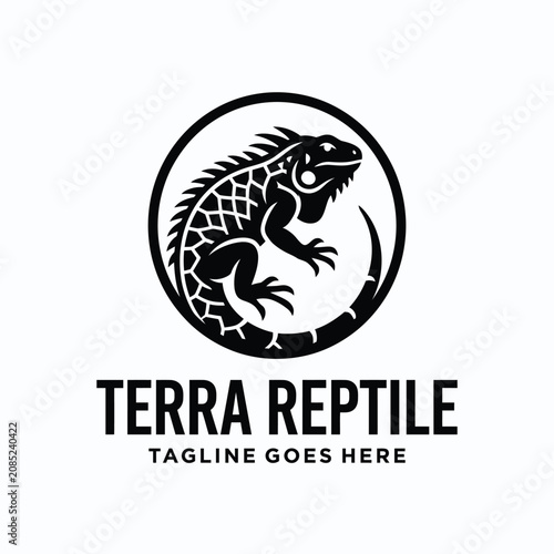 Cuadro en lienzo iguana lizard circular frame for terra reptile nature wildlife animal pet store