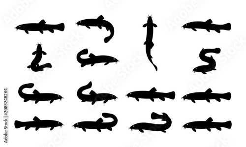 Bild auf Leinwand Set of 16 Black Silhouette Loaches, Aquatic Life Vector Icons, Underwater Creatu