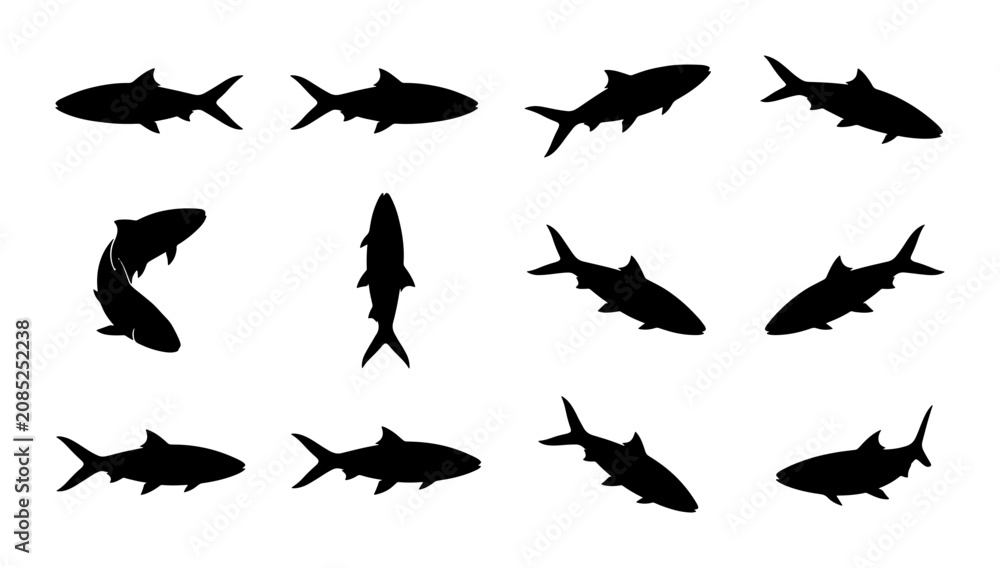 Obraz premium Shark Silhouettes Collection, Marine Life Vector Icons, Ocean Predator Poses, Aquatic Animal Graphics, Underwater Wildlife Set