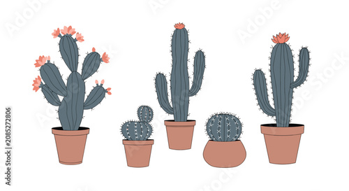 Collection of various cactus plants with pink flowers growing in terra cotta pots in a clean flat vector illustration style.