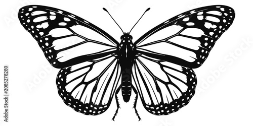 Tableau sur toile Monarch butterfly with open wings