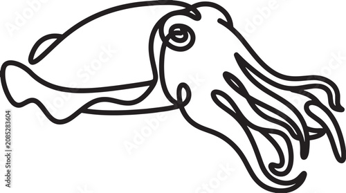 Tableau sur toile Minimalist Cuttlefish Vector Illustration, elegant continuous line art of a mari