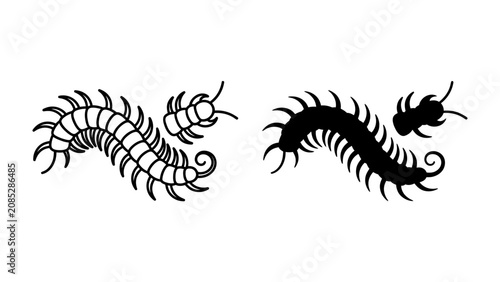 Foto Centipede Silhouette Duo: A graphic representation featuring two centipedes, one rendered as a detailed outline and the other as a solid black silhouette