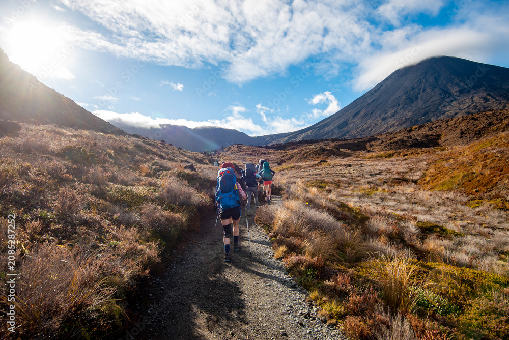Fototapeta premium Trekkers at Tongariro Alpine Crossing - New Zealand