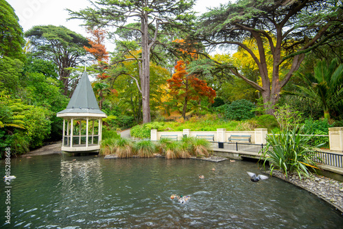 Schilderij op canvas Wellington Botanic Garden Duck Pond