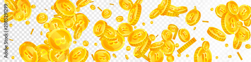 Schilderij op canvas Thai baht coins falling