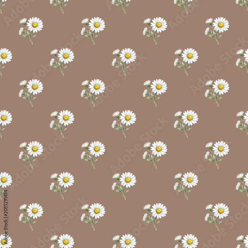 Seamless Daisy Floral Pattern on Taupe Background | Cute Spring Botanical Repeat