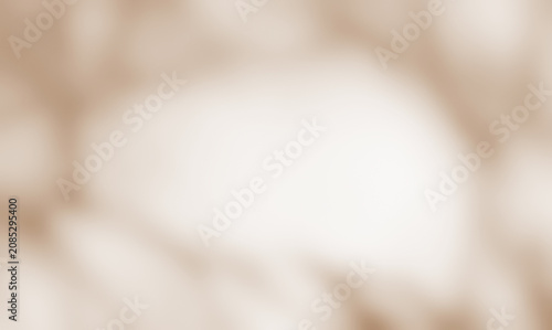 Brown shadow of leaves tree plant overlay on white wall. Sunlight effect shadow on the wall. Minimal blurred backdrop backgrounds. Summer tropical surface background.