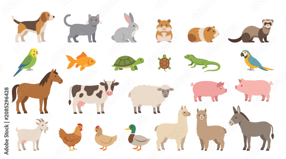 Obraz premium Animals including farm livestock and household pets are displayed in this comprehensive collection of illustrations.