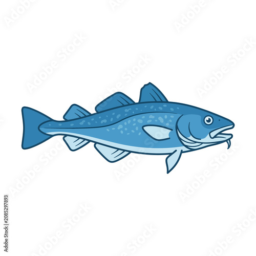 Blue Cod Fish Illustration