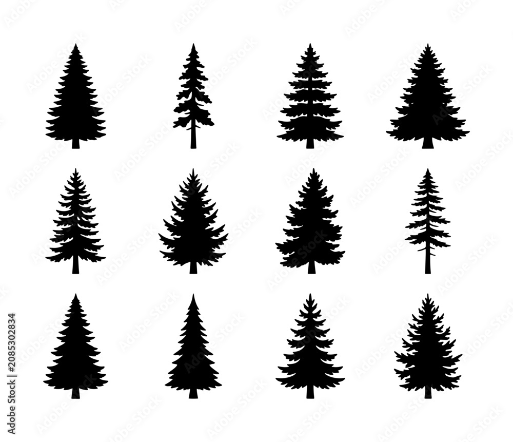 Obraz premium Diverse Pine Tree Silhouettes, Evergreen Conifer Vector Icons, Forest Woodland Nature Elements, Winter Season Graphics