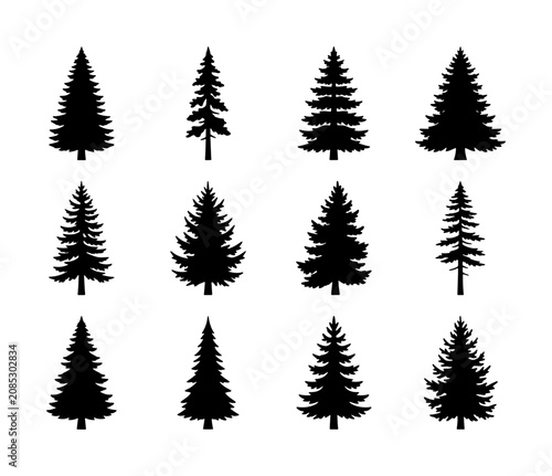 Diverse Pine Tree Silhouettes, Evergreen Conifer Vector Icons, Forest Woodland Nature Elements, Winter Season Graphics
