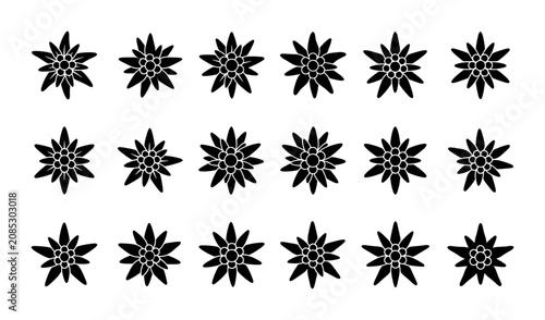 Edelweiss Flower Icons Set, Alpine Flora Vector Graphics, Star-Shaped Mountain Bloom Symbols, Black and White Botanical Illustrations