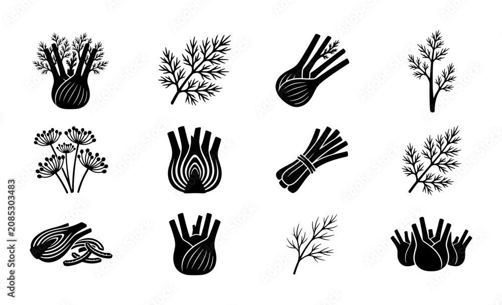 Fototapeta premium Fennel Vegetable Icons Set, Fresh Herb Illustrations, Culinary Ingredient Graphics, Healthy Food Vector Collection