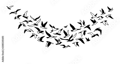 Bild auf Leinwand Minimalist flock of flying birds silhouette vector illustration in blue sky with