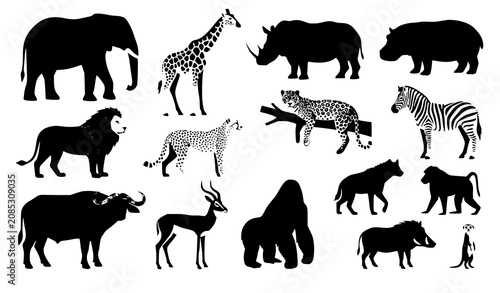 Photography Safari Animal Vector Set Featuring African Mammals Isolated on White Background
