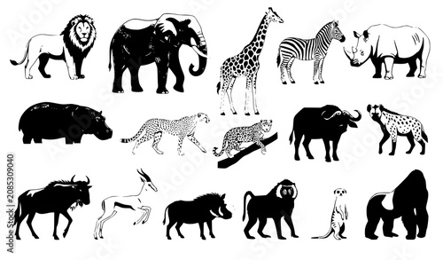 Photography African Mammals Vector Collection Isolated on White Background with Safari Wildl