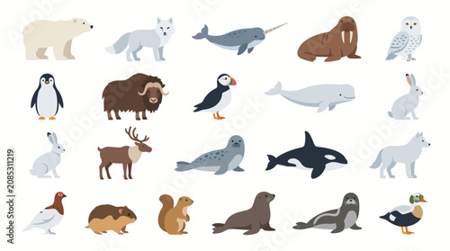 Canvas Print Arctic animals collection features diverse wildlife including a polar bear, narwhal, walrus, and penguin arranged in a clean grid for educational purposes