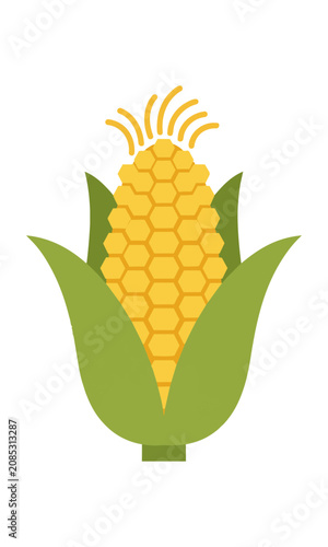Stylized ear of corn with symmetrical green husks peeled back in a clean flat geometric design isolated on a white background agricultural harvest concept