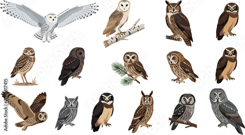 Bild auf Leinwand Diverse Owl Breeds Flat Vector Illustration Set Featuring Snowy Barn Great Horne