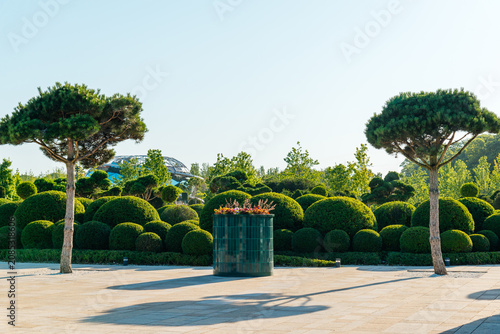 Photos The magnificent Galitsky Park - Krasnodar in Krasnodar, Russia